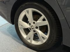 Škoda Octavia - Ansicht 14